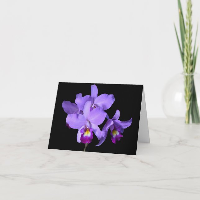 Cartão Purple Violet Eggplant Orchids Greeting Note Card (Frente)