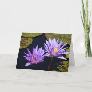 Cartão Purple Water Lily Duet