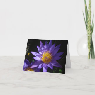 Cartão Purple Water Lily Note Card