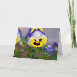 Cartão Purple,Yellow,White Pansy Greeting Card