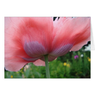 Cartão Púrpura e rosa