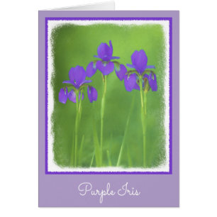 Cartão Púrpura Iris - Arte Flor Original