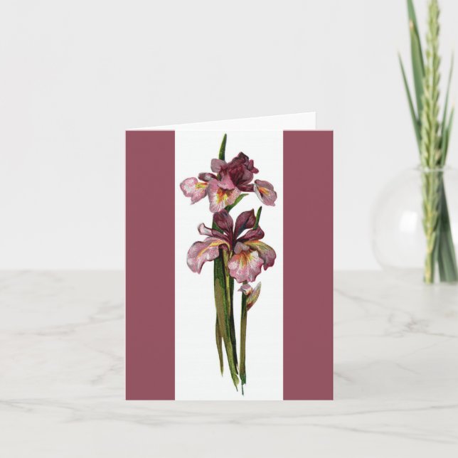 Cartão Púrpura irrisória cor-de-rosa escuro (Frente)