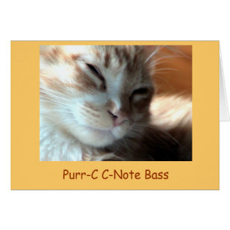 Cartão Purr-c de Purrfectly, baixo da C-Nota do purr-c -