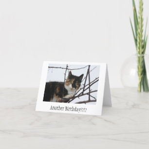Cartão Purr-fect Birthday Card