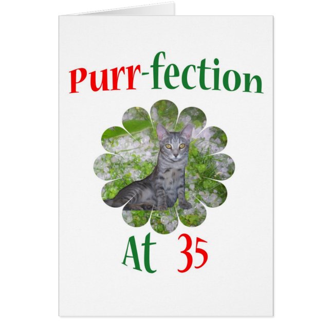 Cartão Purr-fection 35 (Frente)