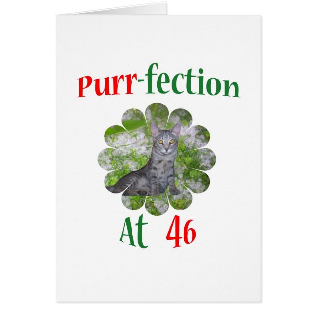 Cartão Purr-fection 46 (Frente)