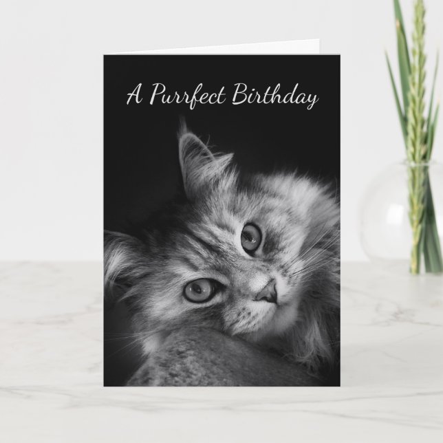 Cartão Purrfect Birthday Wishes Card (Frente)