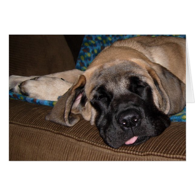 Cartão Puta de tamanho superior (Frente Horizontal)