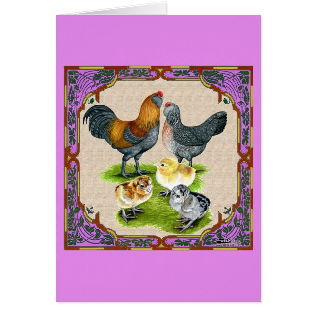 Cartão Quadro da família Ameraucana (Frente)