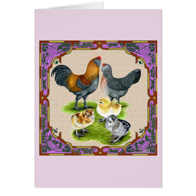 Cartão Quadro da família Ameraucana (Frente)