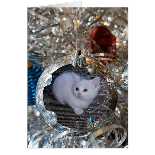 Cartão Quadro de Cheio de Bloco Prateado (Frente)