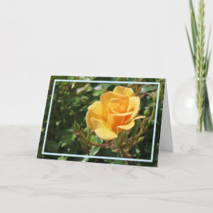 Cartão Quadro de Na moda de Fotografia de Flor Rosa Amare
