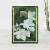 Quadro de Ouro de Fotografias das Flores Modernas
