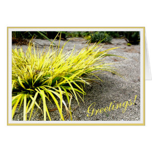 Cartão Quadro personalizável da Planta do Deserto Amarelo