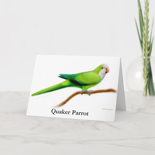 Cartão Quaker Parrot Greeting Card (Frente)