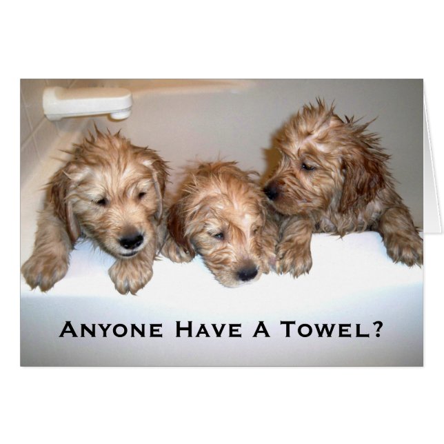 Cartão Qualquer um tem uma toalha? (Frente Horizontal)