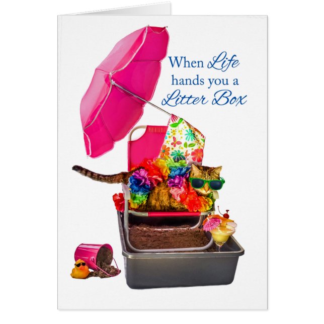 Cartão Quando a vida lhe entrega a caixa de maca gato (Frente)