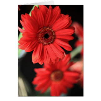 Cartão Quando eu tive um caso