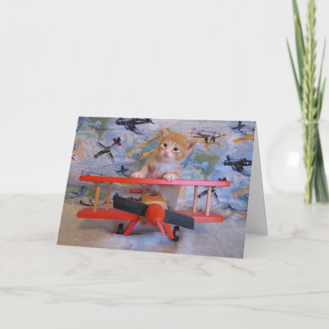 Cartão Quando os Gatinhos voam (Frente)