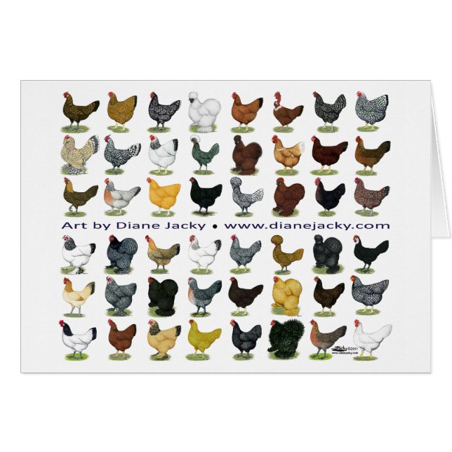 Cartão Quarenta e oito Promo da galinha (Frente horizontal)