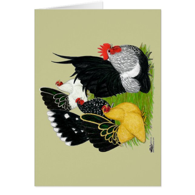 Cartão Quarteto Bantam Japonês (Frente)