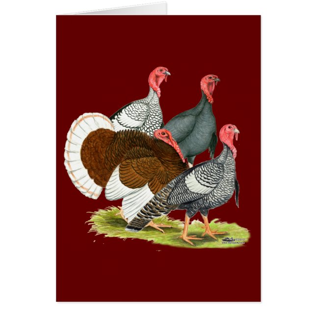 Cartão Quarteto Rara Turquia (Frente)