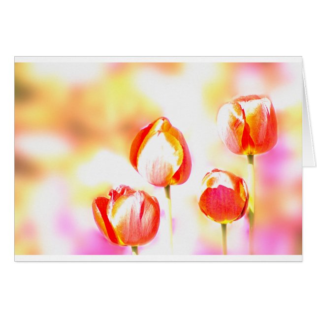 Cartão Quarteto vermelho da tulipa (Frente Horizontal)