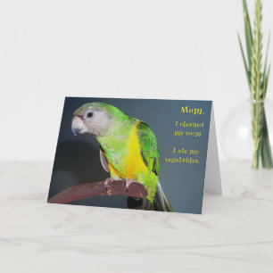 Cartão Quarto desinfetado