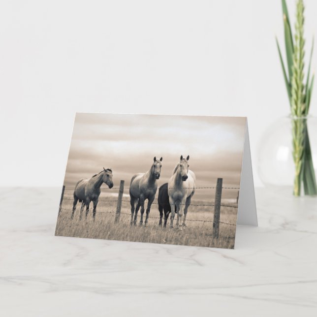 Cartão Quartos Cavalos Na Prairie Canadense (Frente)
