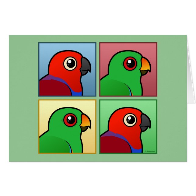Cartão Quatro cor Eclectus (Frente Horizontal)