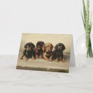 Cartão Quatro Cuppies Dachshund   Carl Reichert