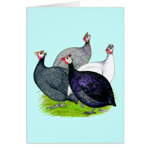 Cartão Quatro Guineas