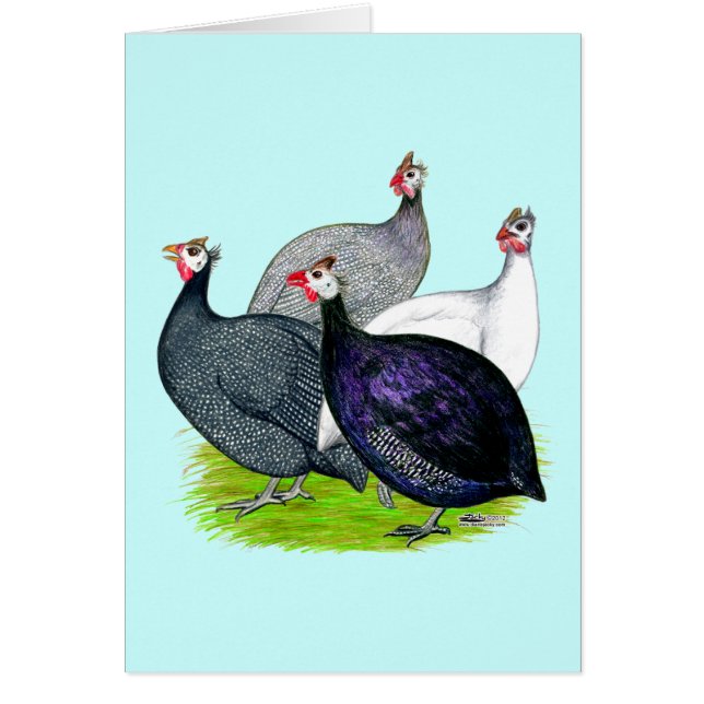 Cartão Quatro Guineas (Frente)