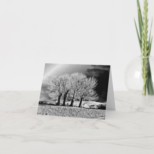 Cartão Quatro Irmãs (Frente)