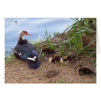 Cartão Quatro patinhos