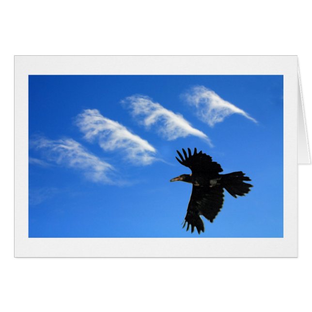 Cartão Quatro Penas (Frente Horizontal)