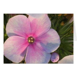 Cartão Quatro placas de ventilador O'Clock