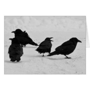 Cartão Quatro Ravens