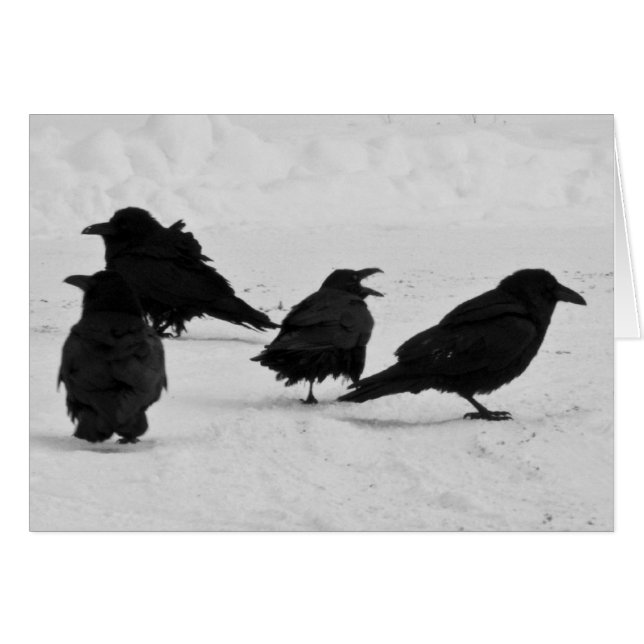 Cartão Quatro Ravens (Frente Horizontal)
