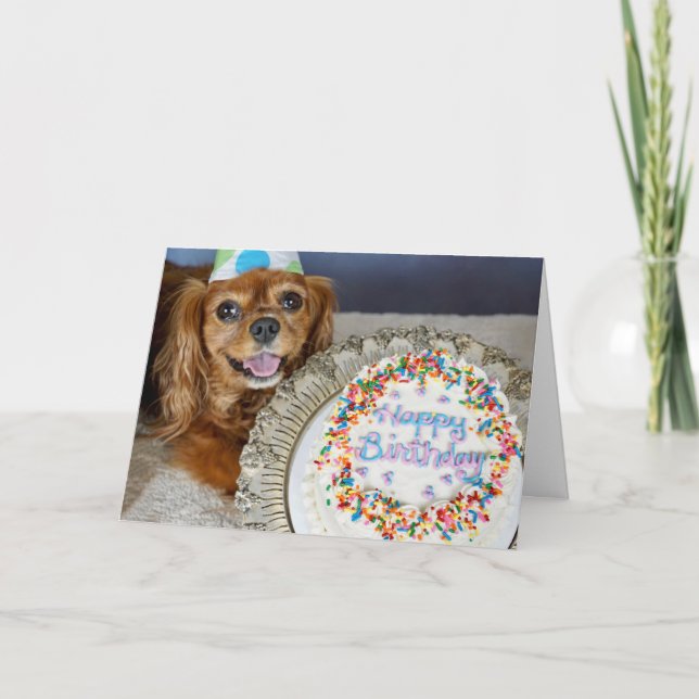 Cartão Que Dieta? (Frente)