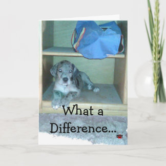 Cartão Que diferença faz um ano!!