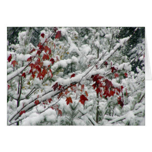 Cartão Que é vermelho e branco e neve all over?