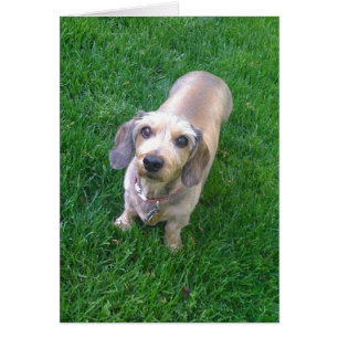 Cartão Que está acima?