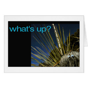 Cartão que está acima?