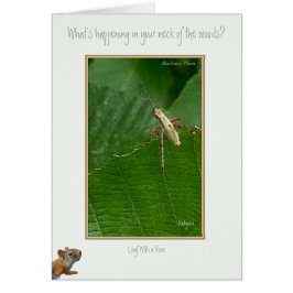 Cartão "Que está acontecendo em seu pescoço das madeiras?