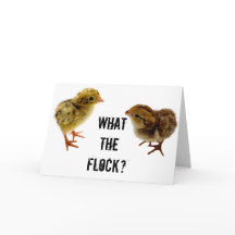 Que Pintinho de Quail Bebê?