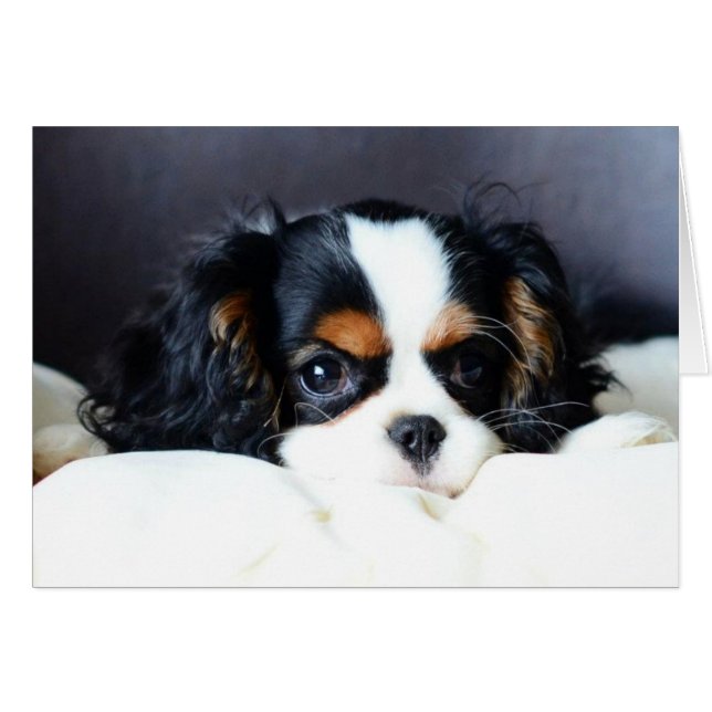 Cartão Que rosto (Frente Horizontal)