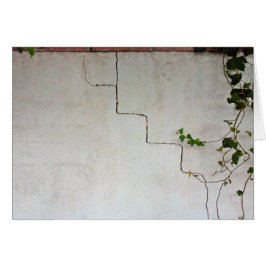 Cartão Quebrado com Vinha