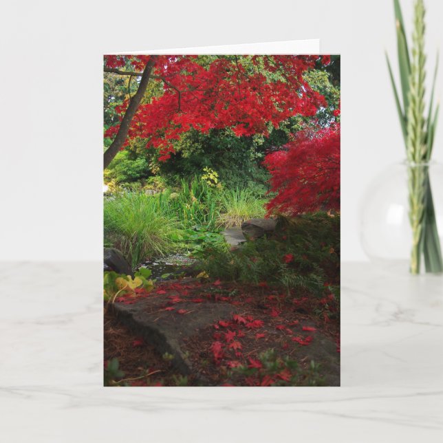 Cartão Queda (Frente)